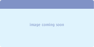 HDS 1214 12V Glow Plug